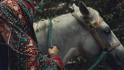 السيده عائشه تحكي أنه في يوم كان رسول الله/قصه كامله
