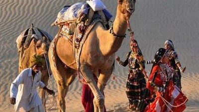 لما جيء بسبايا بني طيئ الي المدنبه 