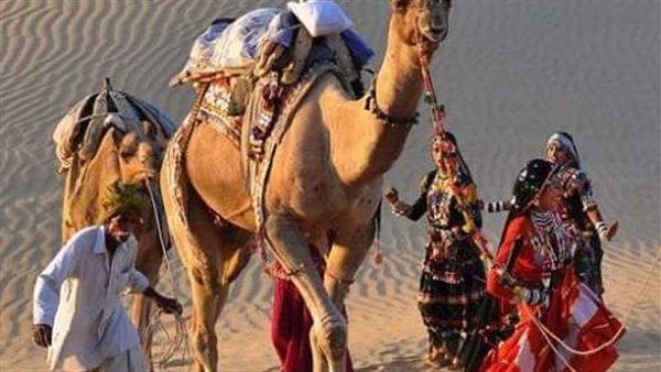 موقع أيام نيوز