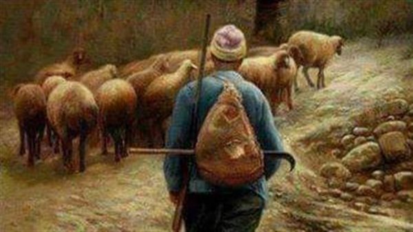 موقع أيام نيوز