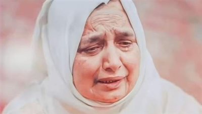 امي والبامبرز