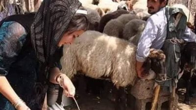 قصه العيش والملح 
