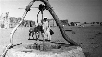 السقاية