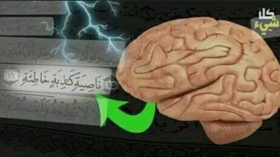 ناصية كاذبة