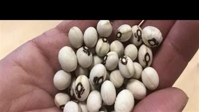 حبه واحده تخرج كل الغازات المتراكمه في البطن وتزيل الانتفاخات
