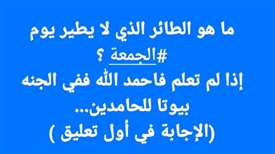 ما هو الطائر الذي لا يطير يوم الجمعة