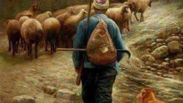موقع أيام نيوز