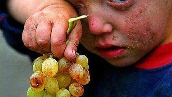 موقع أيام نيوز
