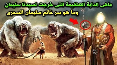 ما هي الدابة الدالة علي مۏت سيدنا سليمان