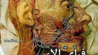 فبأي آلاء ربكما تكذبان
