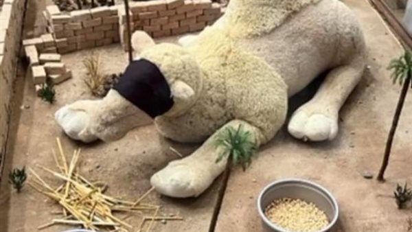 موقع أيام نيوز