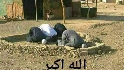 امجنون انت ياجنيد