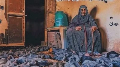 العجوز والفئران