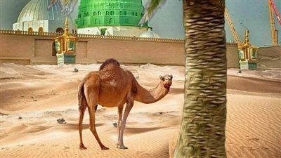 من قصص النبوة