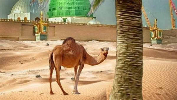 موقع أيام نيوز