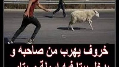 كان رجل قد ينزل خروف قد اشتراه