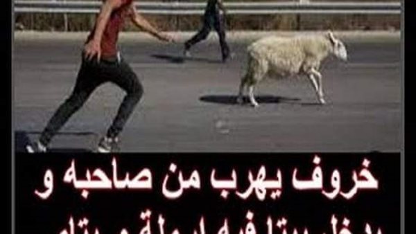موقع أيام نيوز
