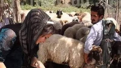 قصة العيش والملح