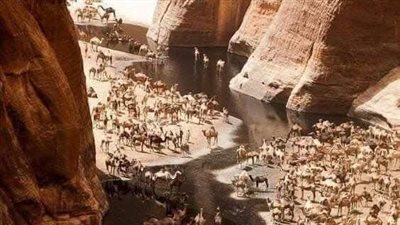 بينما انا بين النائم والقرآن اذااتاني جبريل 