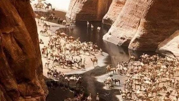 موقع أيام نيوز