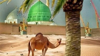 عندما طعن سيدنا عمر رضي الله عنه