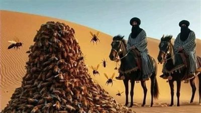 الصحابي الذي ارسل الله له جبل من النحل ليحميه