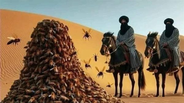موقع أيام نيوز
