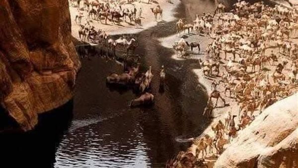 موقع أيام نيوز