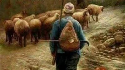 راعي الغنم