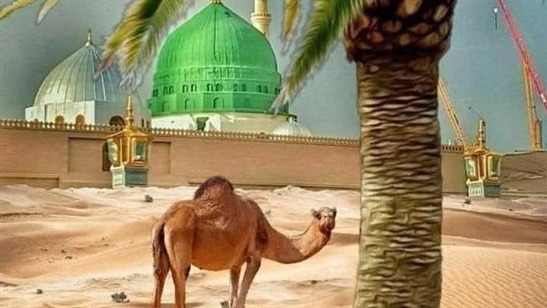 موقع أيام نيوز