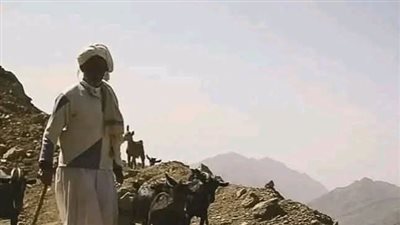 بينما النبي صلي الله عليه وسلم بفناء الكعبة إذ انزل عليه جبريل