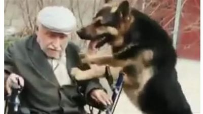 الملياردير