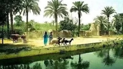 عندما جاء التليفزيون الي بيتي