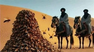 الصحابي الذي ارسل الله له جبل من النحل ليحميه