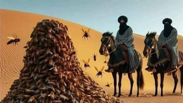 موقع أيام نيوز