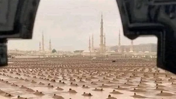 موقع أيام نيوز