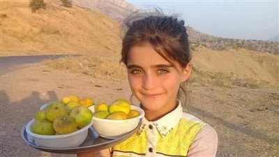 فتاة المدرسة