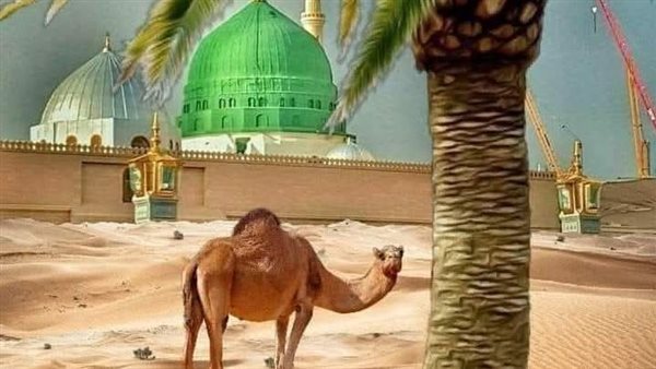 موقع أيام نيوز