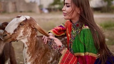 تزوج بدوي فتاة من قبيلته
