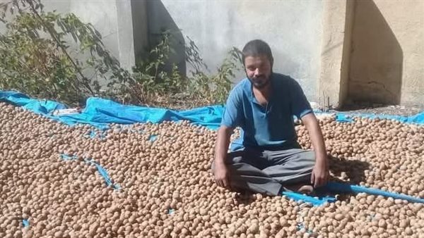 موقع أيام نيوز