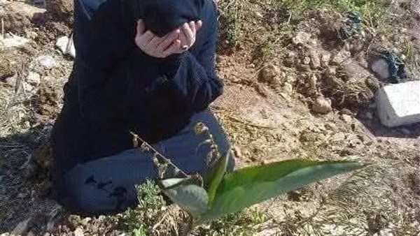 موقع أيام نيوز