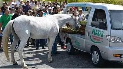 حصان في البرازيل