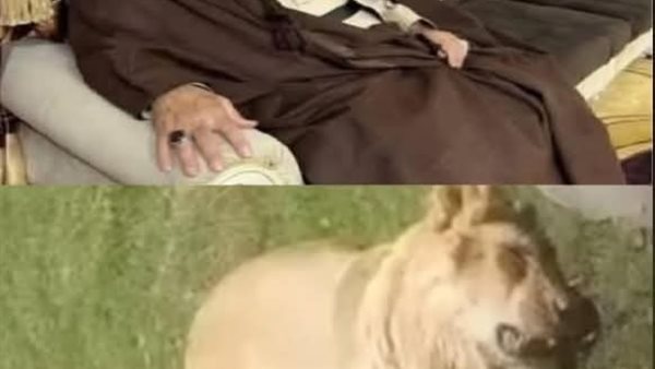 موقع أيام نيوز