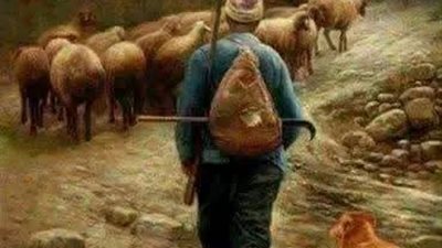 راعي الغنم