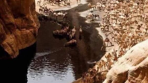 موقع أيام نيوز