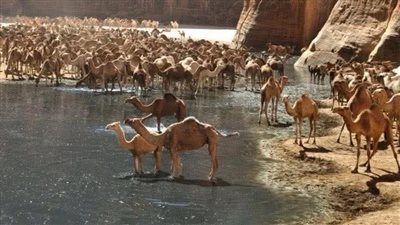الابرص والاقرع والاعمي
