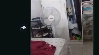 قصه بقلم شهيرة عبد الحميد