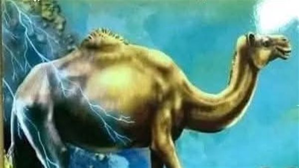 موقع أيام نيوز