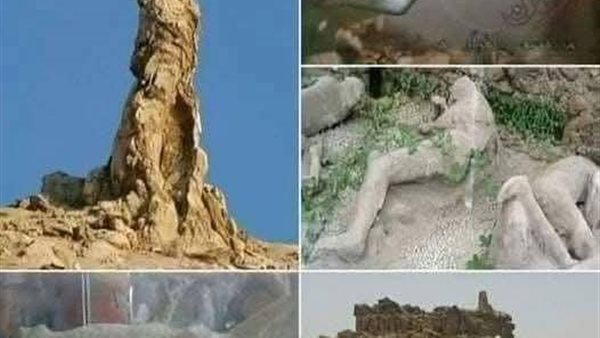 موقع أيام نيوز