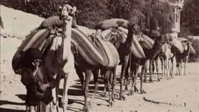 في عهد الخليفة ابي بكر